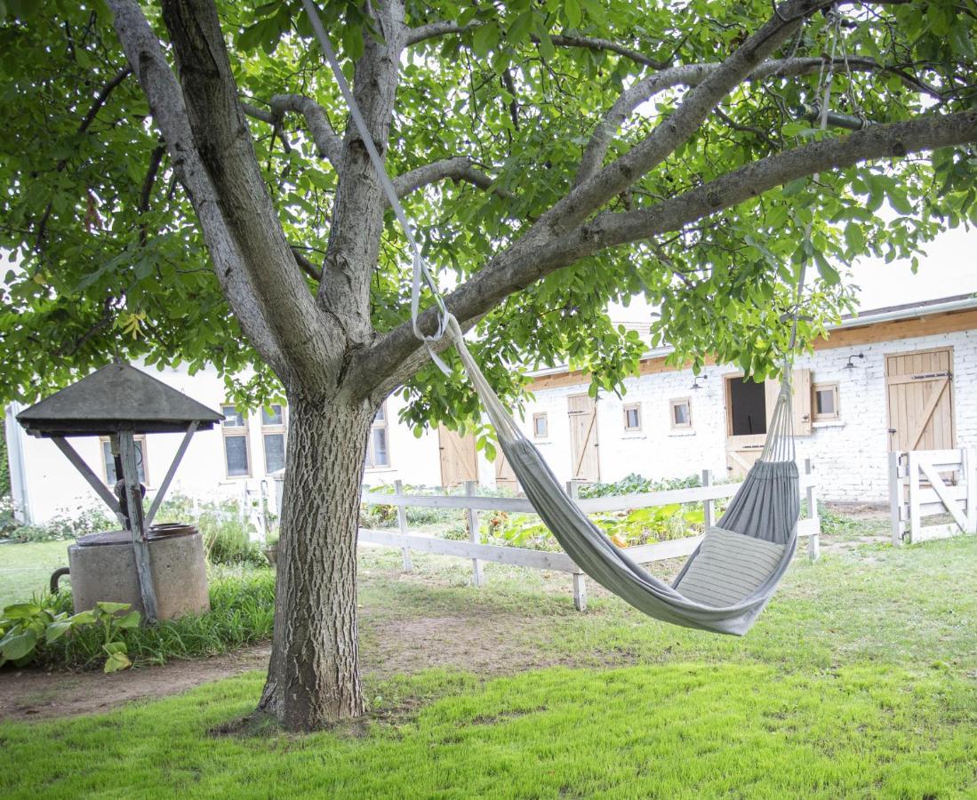 Ferienwohnung Cozy Airport Vecsés Exterior foto